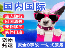 敦煌机场邮寄国际宠物托运 【国